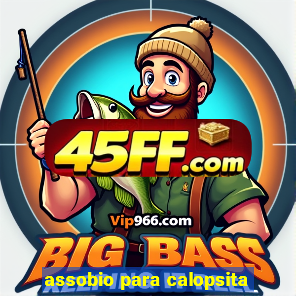assobio para calopsita